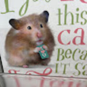 Meet your Posher, Kate